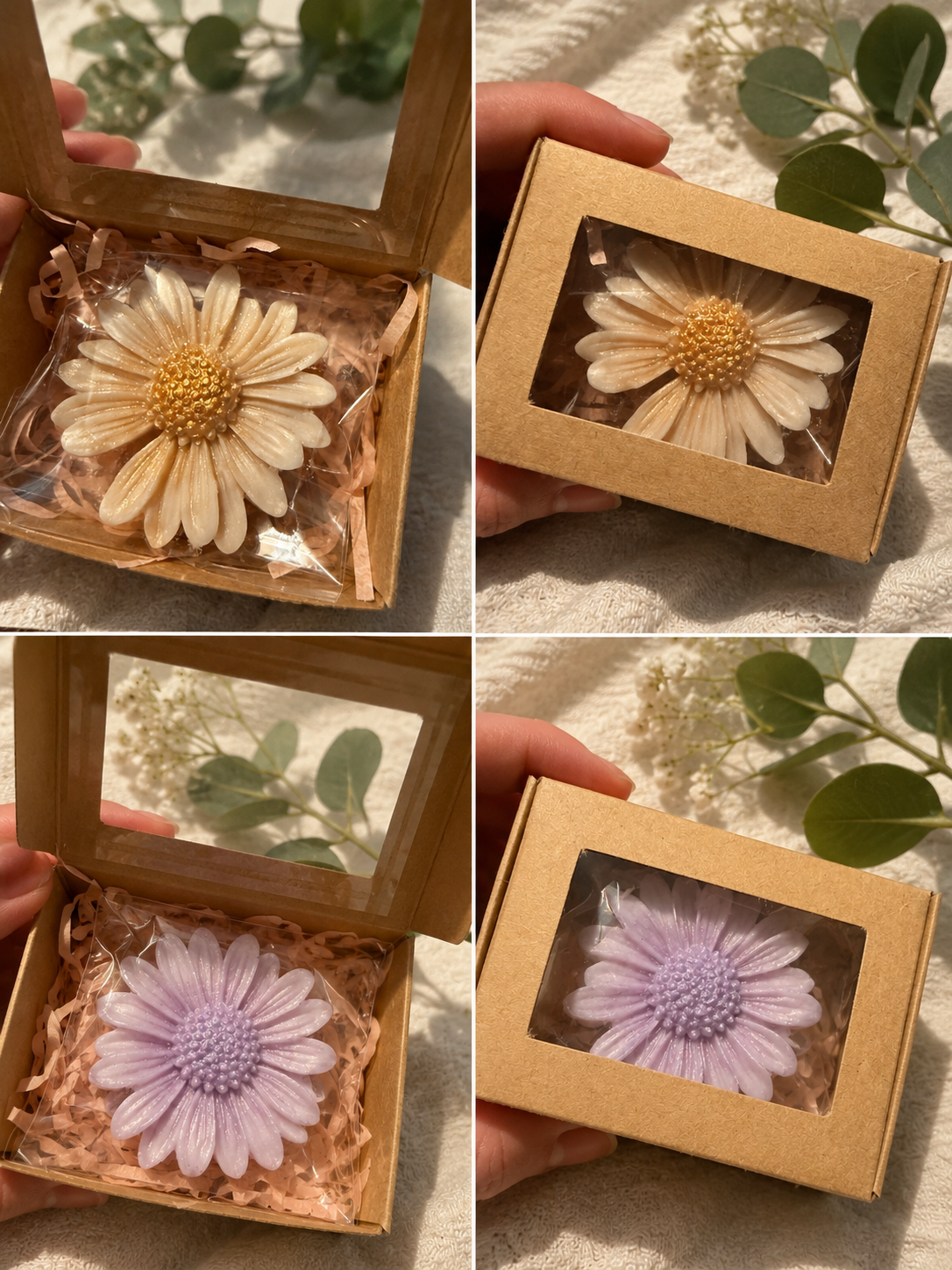 Soy wax melt Daisy boxes