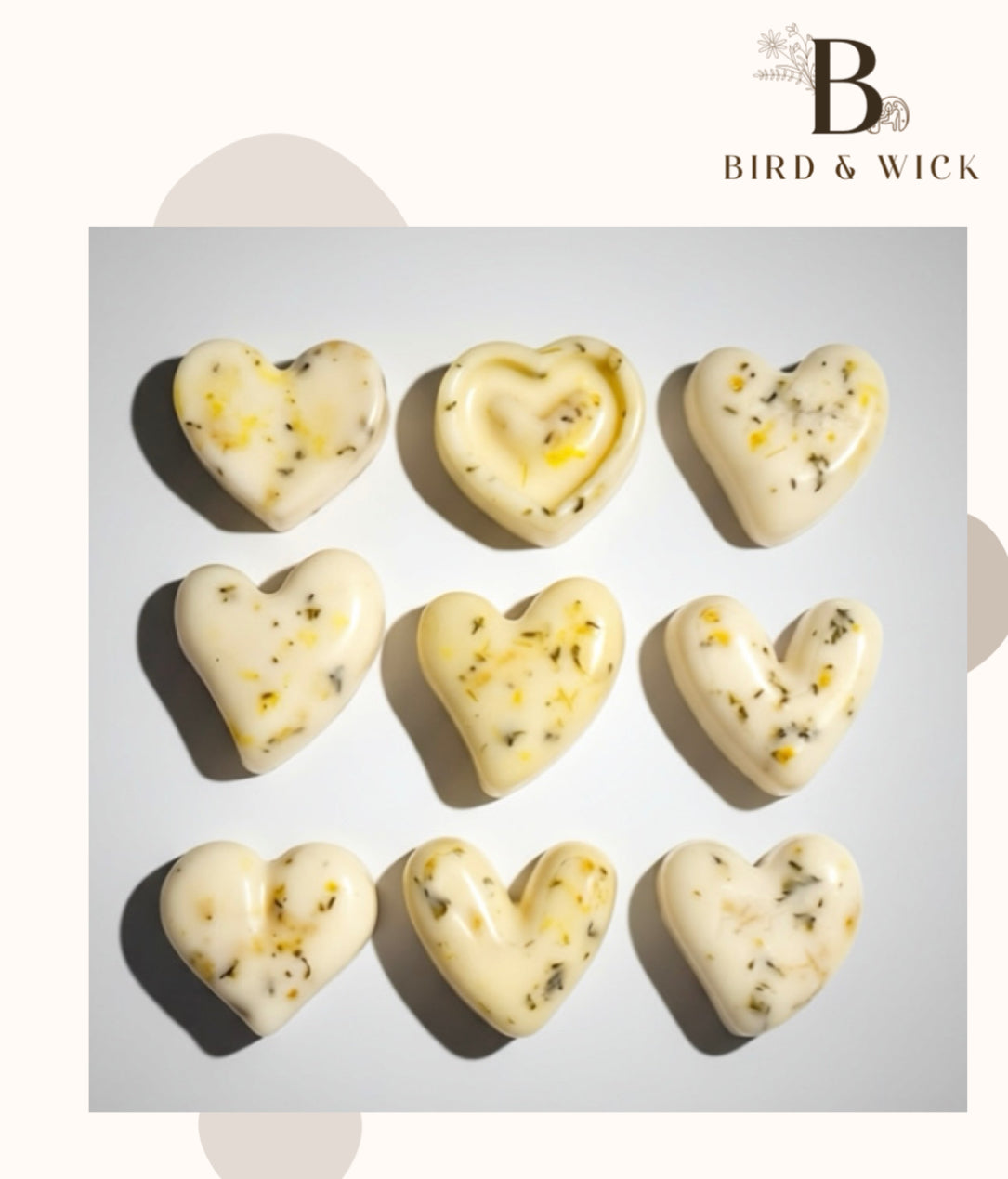 Daisy soy wax melts