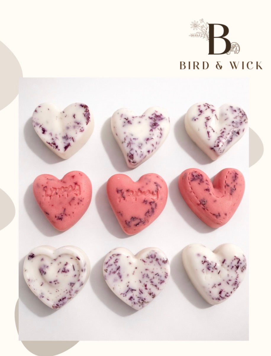 Sweet sugar plum soy wax melts