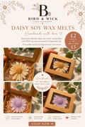 Soy wax melt Daisy boxes
