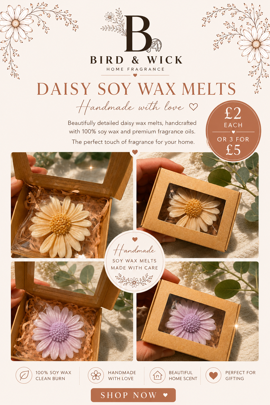Soy wax melt Daisy boxes