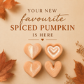 Spiced pumpkin soy wax melts